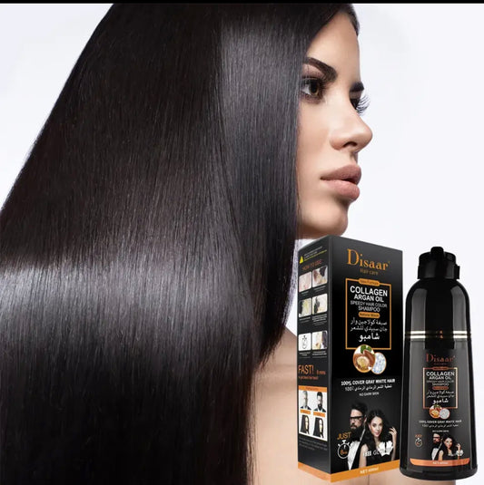 Champú tinte canas color negro